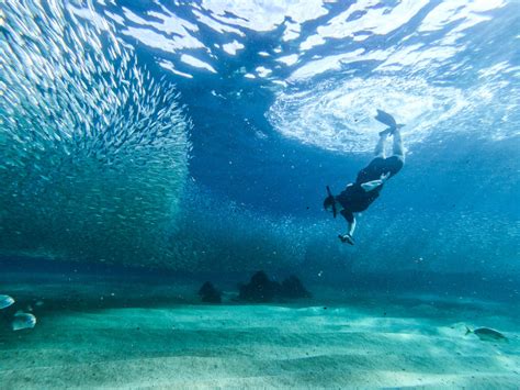 Snorkel Tour Private guide Cabo San Lucas | Adventures in Baja