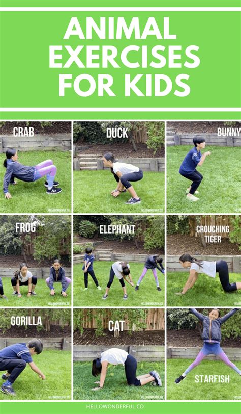 ANIMAL EXERCISES FOR KIDS - hello, Wonderful