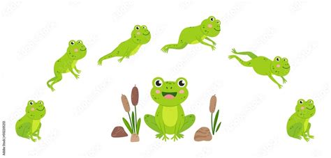 Frog jump. Animation of jumping animal, green cartoon frogs desogn ...