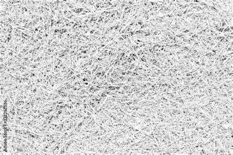 White grass texture. Monochrome surface of lawn on the ground. Stock ...