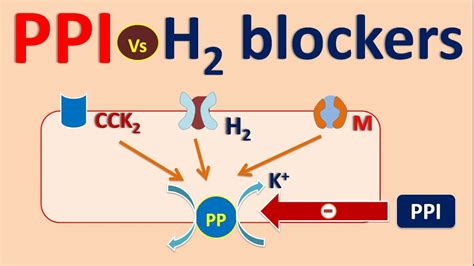 Proton pump inhibitors (PPI) vs H2 blockers - YouTube