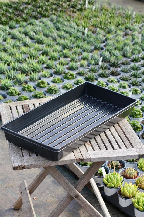 Standard Watering Tray