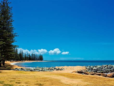 Redcliffe Peninsula: Whale watching, The Sebel Brisbane Margate Beach ...