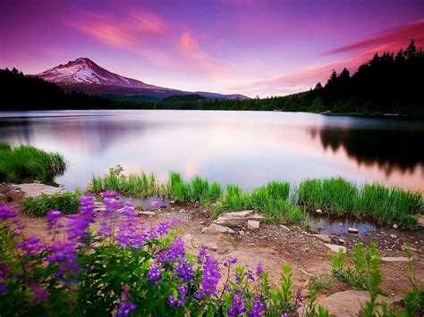 Desktop backgrounds - best hq nature wallpapers free | Flickr