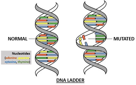 The Human DNA Debate - LewRockwell