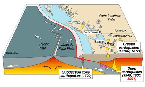 Parts of the Pacific Northwest's Cascadia fault are more seismically ...