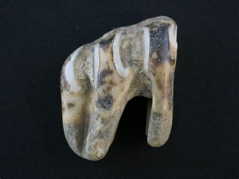 Peace River Museum, Archives and Mackenzie Centre: Fossilized Teeth