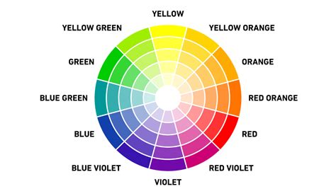 What is a Color Scheme: Definitions, Types & Examples