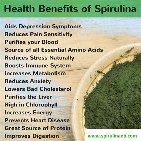 Organic Spirulina-Super food. In this modernized and polluted world ...