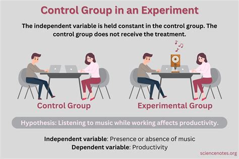 Control Group Definition and Examples