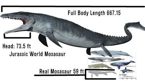 Jurassic World Mosasaur Size Comparison