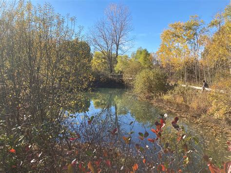 Alewife Brook Reservation in Cambridge, MA - Urbnparks.com