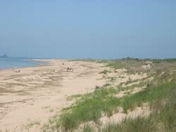 First Landing State Park, Virginia Beach, VA