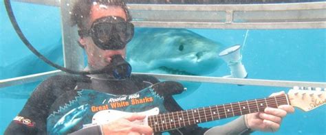 Shark cage diving with Great Whites. Port Lincoln. South Australia ...