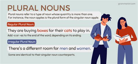 Plural Nouns - Rules, List of Examples