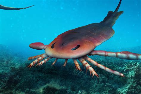 Gigantic scorpions hunted in ancient seas | Earth Archives