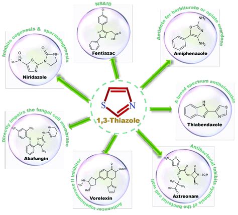 Some of the active pharmaceutical ingredients bearing thiazole ring ...