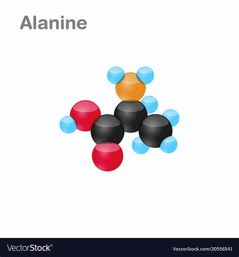 Molecule alanine ala an amino acid used in the Vector Image