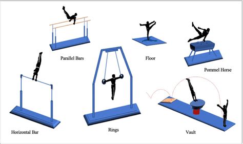 The disciplines in men’s artistic gymnastics | Download Scientific Diagram