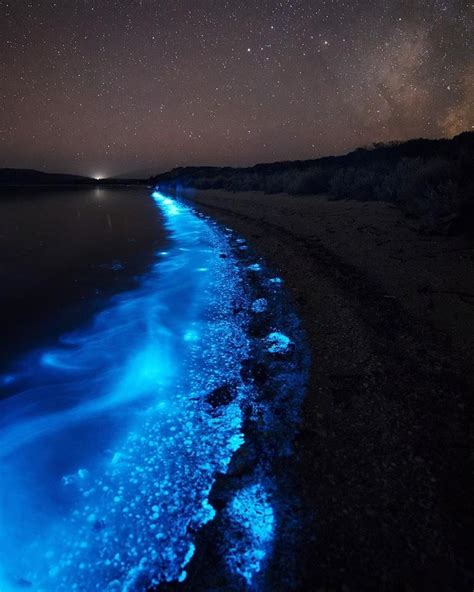 10 Pictures : Glowing bioluminescent phytoplankton