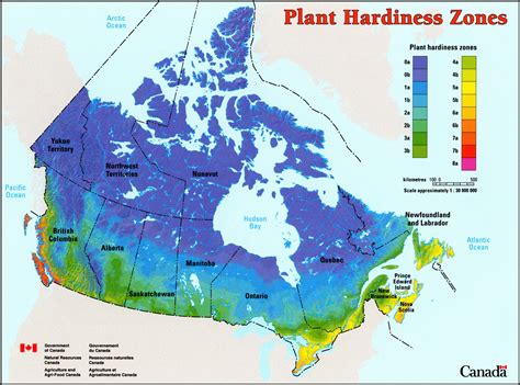 Clifty View Nursery - Plant Hardiness Zones