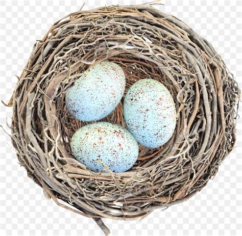 Egg Bird Nest Clip Art, PNG, 1362x1333px, Egg, Bird, Bird Nest ...