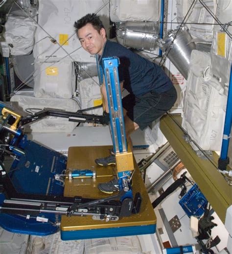 12 Cool Experiments Done on the International Space Station | Mental Floss