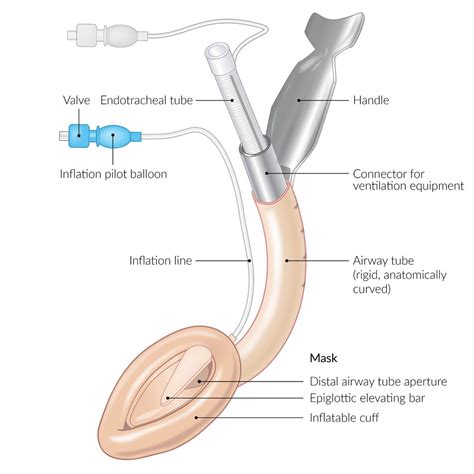 Endotracheal Intubation Equipment