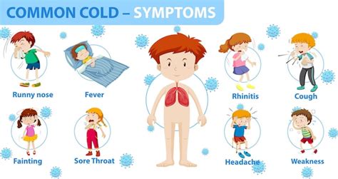 Free Vector | Common cold symptoms cartoon style infographic