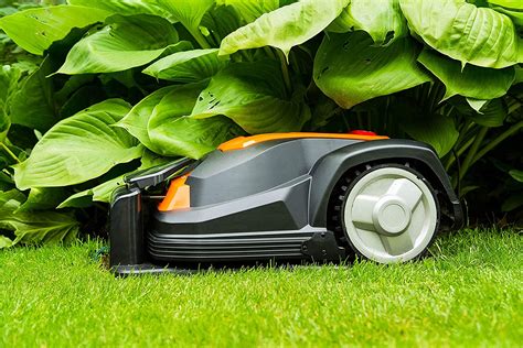 Robotic Lawn Mower: our selection of the 6 best models - GOOD RATER