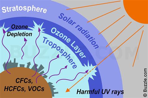 causes of ozone depletion | Ozone layer, Ozone depletion, Environmental ...