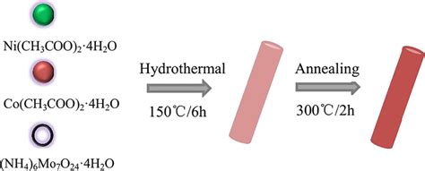 Schematic illustration of the synthesis process for Mo-a nanorods ...