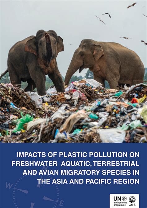 Impacts of Plastic Pollution on Freshwater Aquatic, Terrestrial and ...