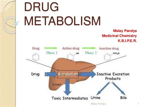 Drug metabolism