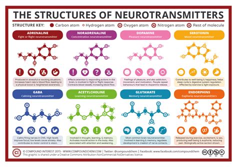 What are neurotransmitters?