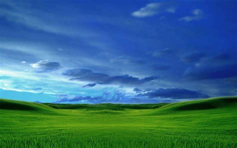 Green Grass and Blue Sky Wallpapers - Top Free Green Grass and Blue Sky ...