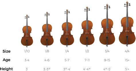 Strumenti a corde 205 Student Cello • Prince Music Company