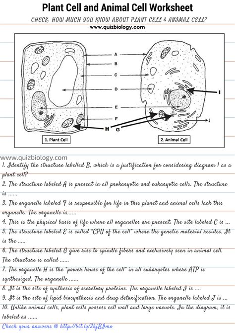 Plant And Animal Cells Worksheet Year 7 - Cells Worksheets | Biology ...