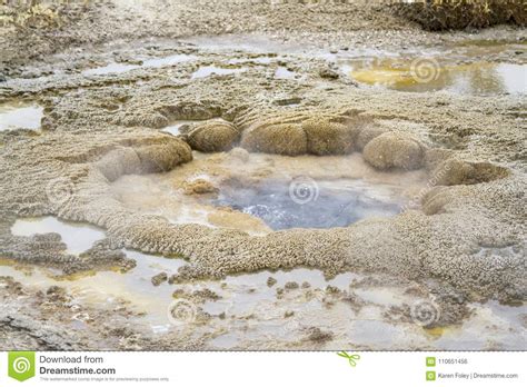 Steaming Geyser Vents at Fountain Paint Pots in Yellowstone National ...