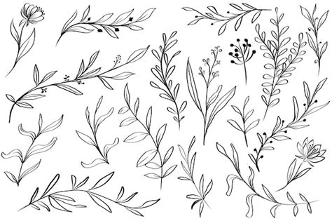 Hand Drawn Leaves Images - Free Download on Freepik