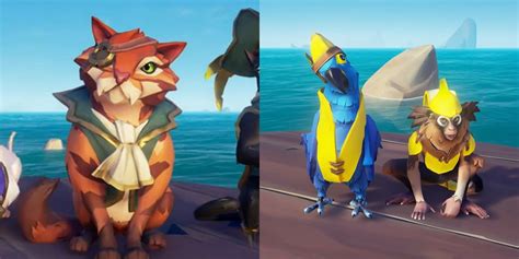 Every Pet In Sea Of Thieves, Ranked