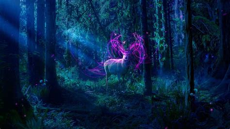 2K free download | MAGICAL FOREST, MAGICAL, NIGHT, DEER, FOREST, TREES ...