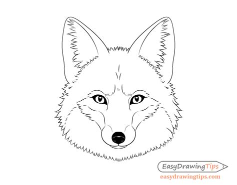 How to Draw a Fox Step by Step - EasyDrawingTips