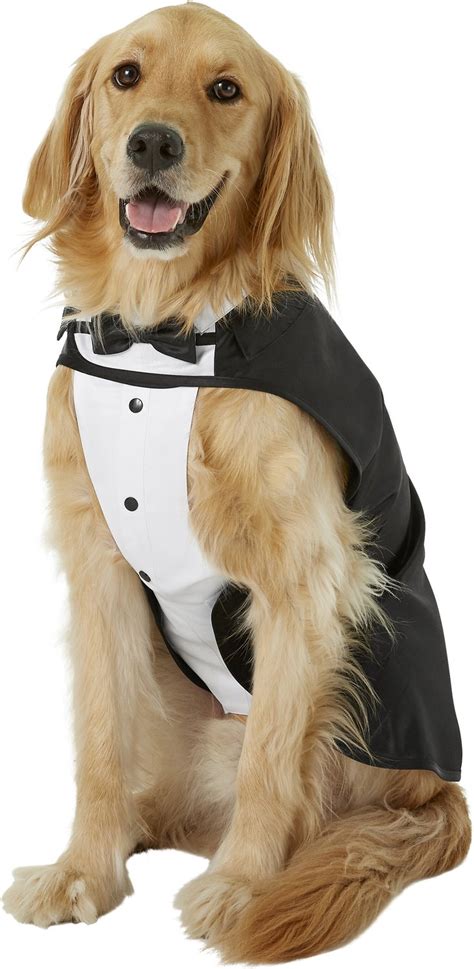 Frisco Formal Dog Tuxedo, Black, XX-Large - Chewy.com