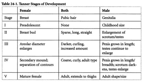 Tanner Stages. Flashcards | Quizlet