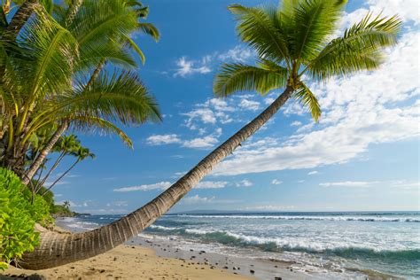 tropics, Coast, Sky, Waves, Scenery, Ocean, Hawaii, Palma, Trees ...