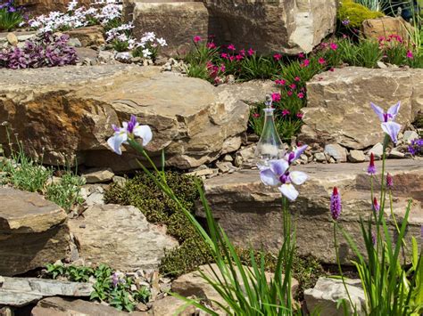 Rockery Plants That Like Sun: Planting A Rock Garden With Full Sun ...