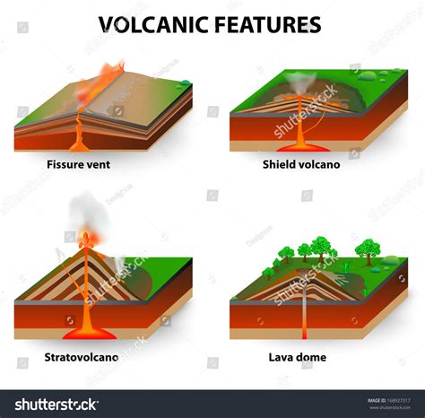 Tipos de volcán. Las erupciones volcánicas: vector de stock (libre de ...