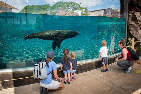 Columbus Zoo and Aquarium - Cincinnati Family Magazine