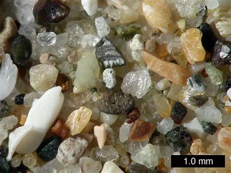 Sand under a Microscope